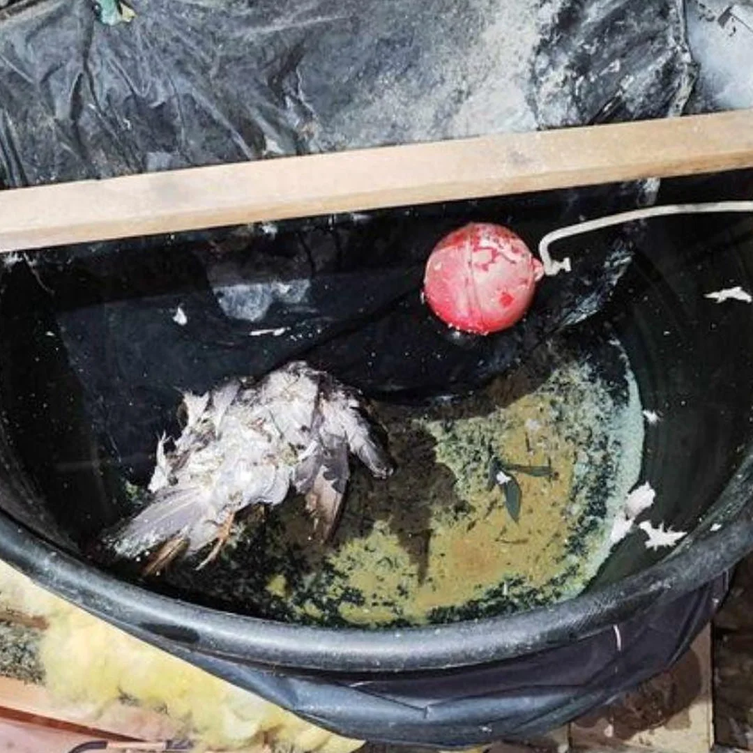 water tank cleaning in Kent